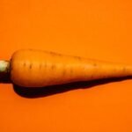 carrot gel for tanning