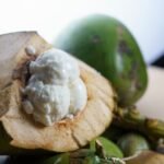 coconut ice cream in the shell