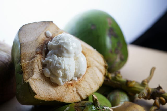coconut ice cream in the shell