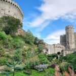 best plants for UK gardens