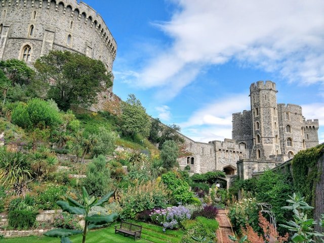 best plants for UK gardens